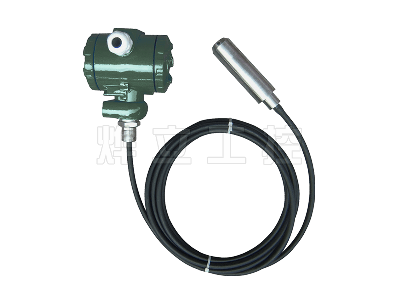 WMY-C缆式液位变送器