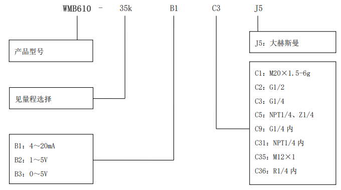 PCM610差压变送器选型表