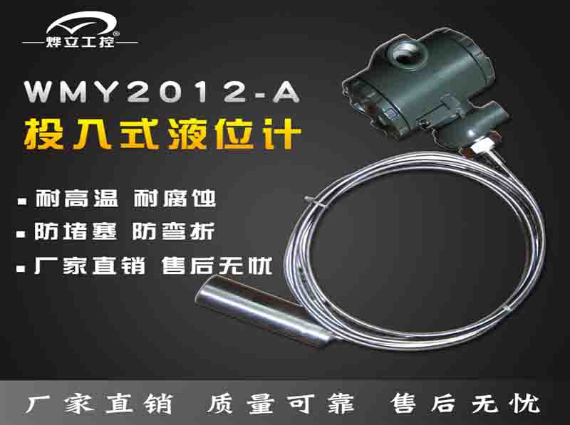 wmy2012投入式液位计